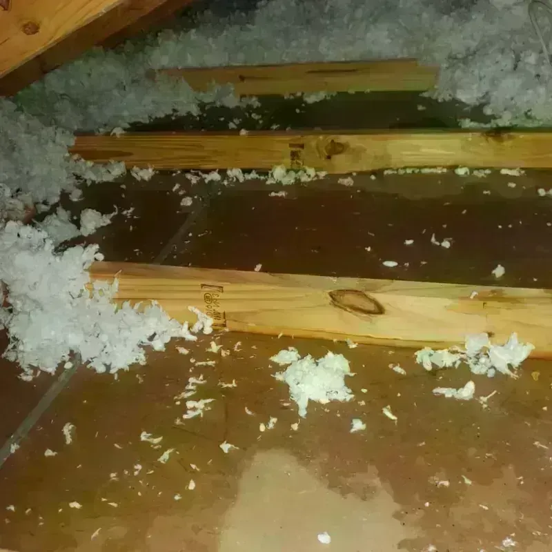 Attic Water Damage in Paris, ME